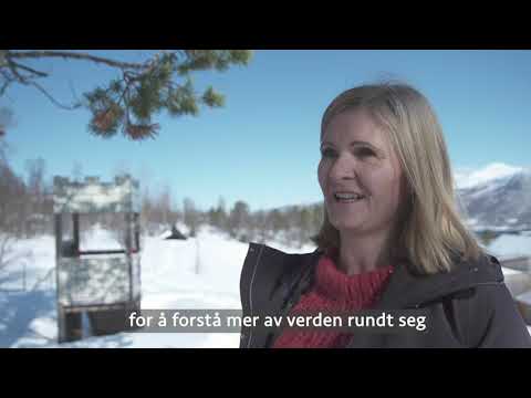 Jobbe i barnehage i Senja kommune?